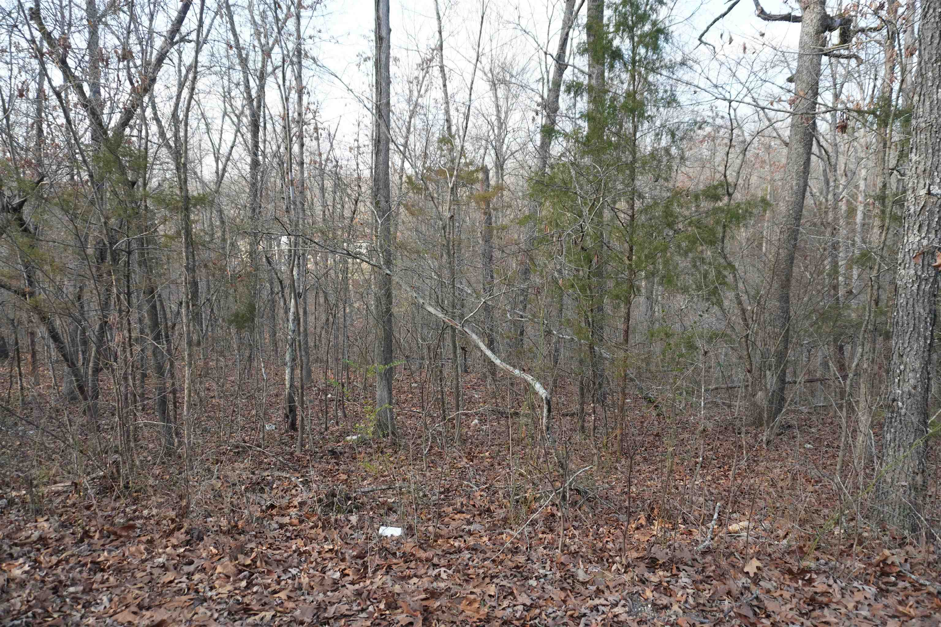 Chickasaw Fourth - Land