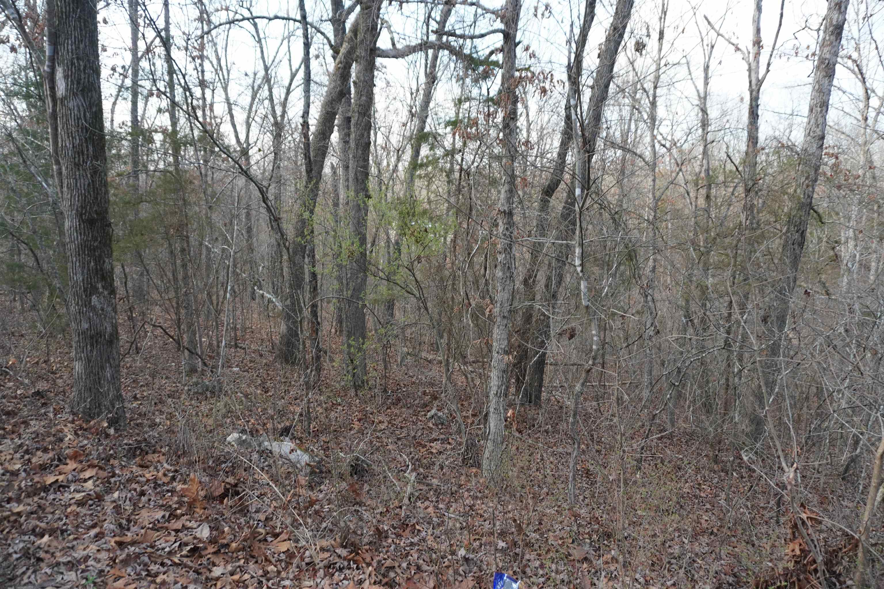 Land For Sale in Cherokee Village, Arkansas. Wooded lot, 0.33 acres. Not far from the highway or lake. Quiet area, not many neighbors, perfect place to build a house!