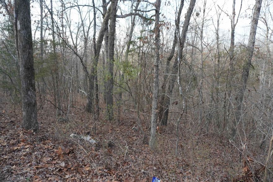 Land For Sale in Cherokee Village, Arkansas.  Wooded lot, 0.33 acres.  Not far from the highway or lake. Quiet area, not many neighbors, perfect place to build a house!