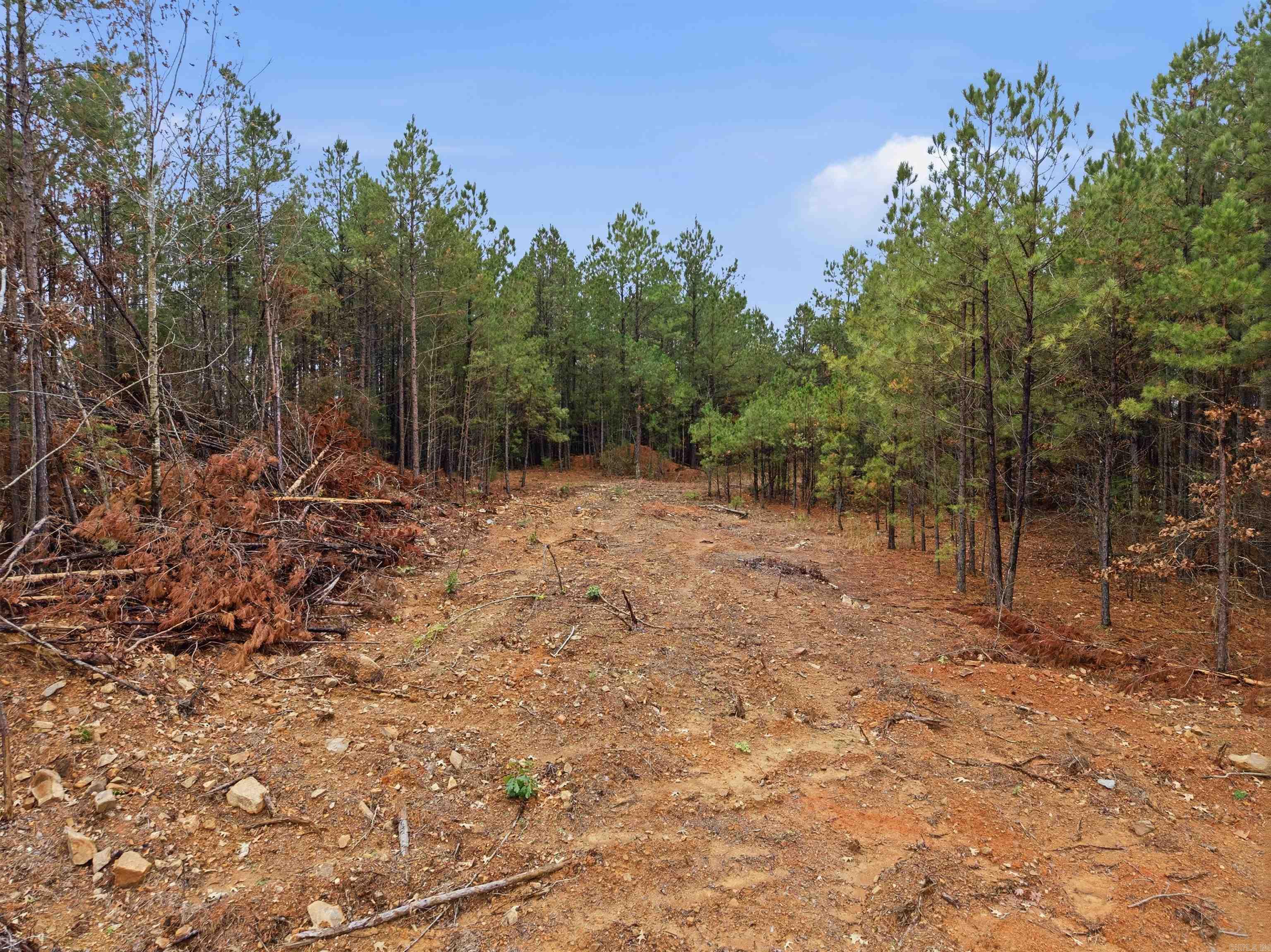 Cedar Point Heights - Land