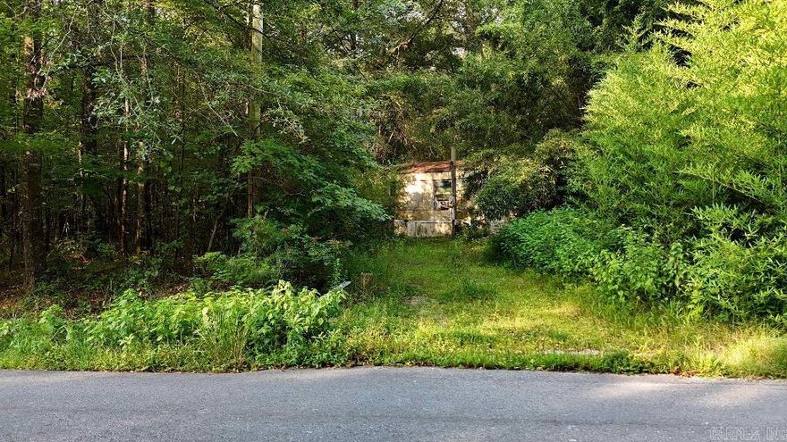 Just over a half hour outside Little Rock – in the “Goldilocks zone” between the city and the country – this lot is build-ready with all utilities available and paved road frontage.  -Two Lots in One! -All Utilities -Paved Road Frontage -Very Buildable: Flat, No Floodplain -Priced Well Below Market