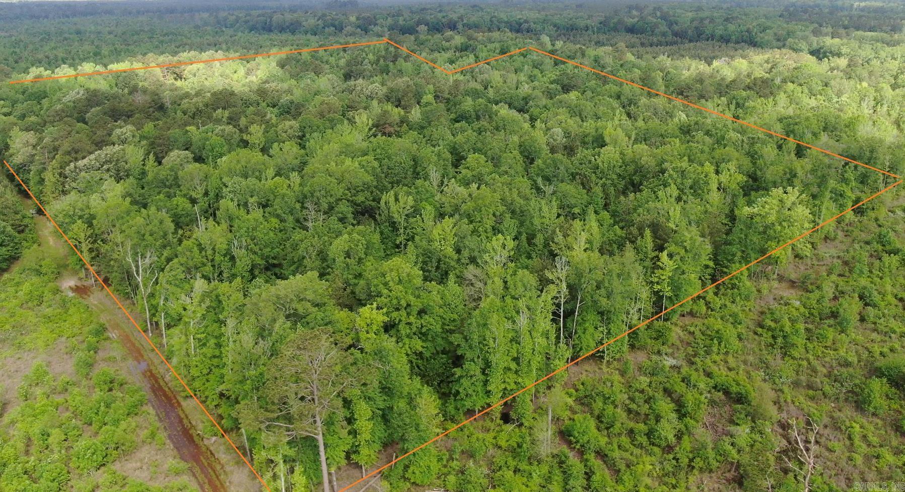 This 38 acres is loaded with a mixed stand of over 40 years old timber. It has road access and has electricity and water on the property. This would make a nice place to build a home, or a camp for hunting. It is within 1/2 mile of Cranes Lake. There are a lot of reasons you would be interested in this property!