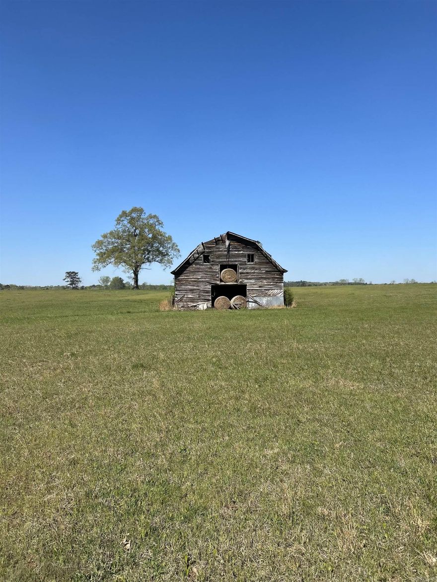 Beautiful 80 acre homeplace with barn and two ponds.  No house there now but wonderful building spot.  Part cleared and part wooded.  Hay is cut off of it each year.  Deer and turkey abundant in that area.  Close to Fordyce and Malvern Arkansas.  If you are looking for a place that has little traffic and noise this is it.