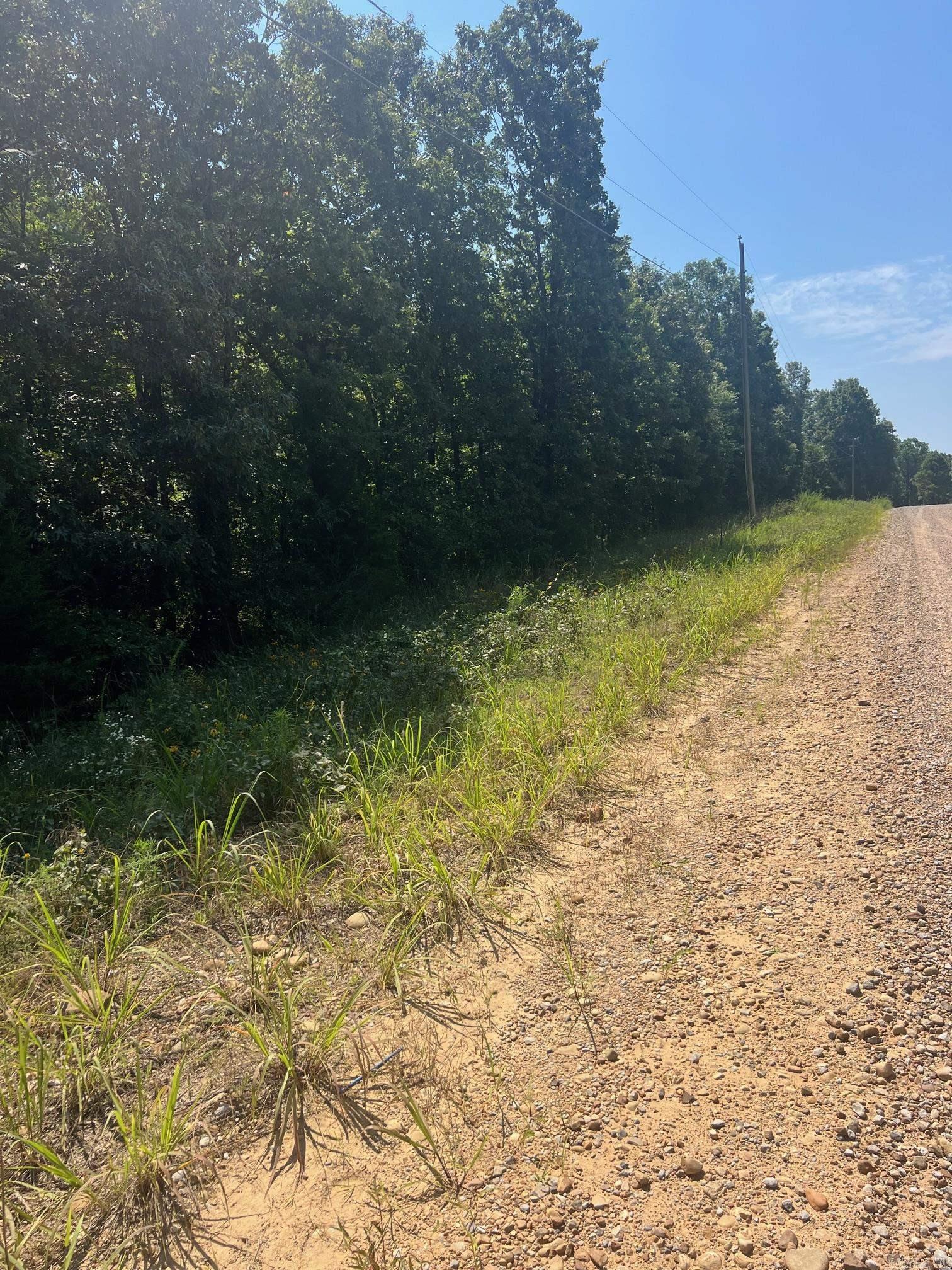 This property has had two mobile homes and a cabin on it in the past so all utilities will be available and has septic. Big tract of acreage with lots of potential. Old homeplace on the property. Electric runs across the property.