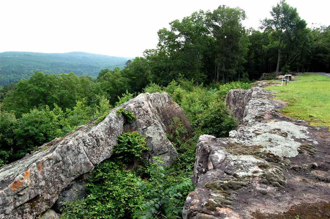 Jackie Stevens - Land