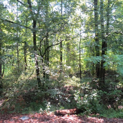 STATE HWY 133, WILMAR, AR 71675 - Image 3a5cb9ee2309d145f4cb5ed30bb57597/754968116
