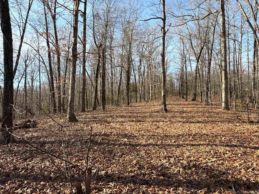 Unlock the ultimate hunting experience with this exceptional 40-acre wooded tract in the heart of Searcy County, Arkansas! This property offers direct access to the Loafers Glory Wildlife Management Area along its west boundary, giving you thousands of additional acres to explore and hunt. The property boasts a natural, wooded setting with abundant wildlife, making it a hunter's paradise. The mature hardwoods and diverse terrain provide excellent hunting opportunities, while the availability of electric and high-speed fiber internet ensures modern convenience. Whether you're dreaming of a hunting cabin, a weekend getaway, or a full-time residence, this property offers endless possibilities. With its prime location and access to Loafers Glory WMA, this is a rare opportunity for avid outdoors enthusiasts.