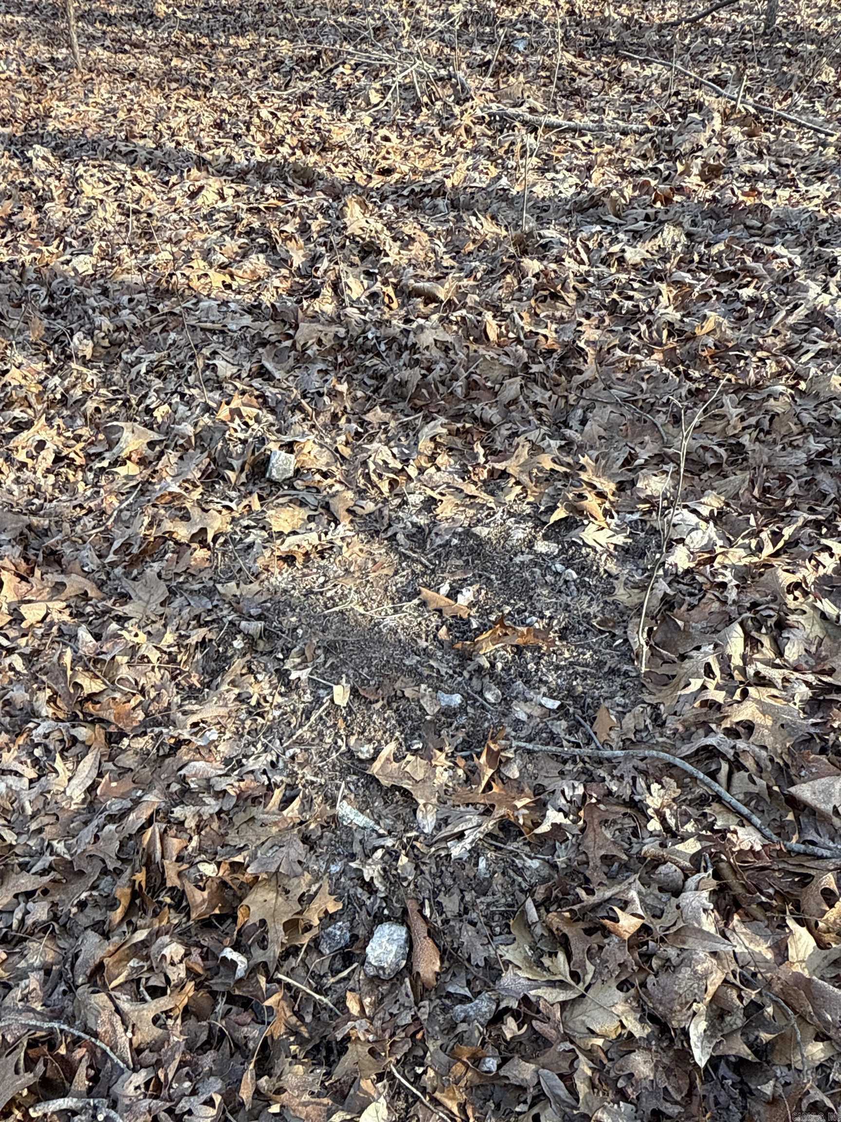 Metes & Bounds - Land