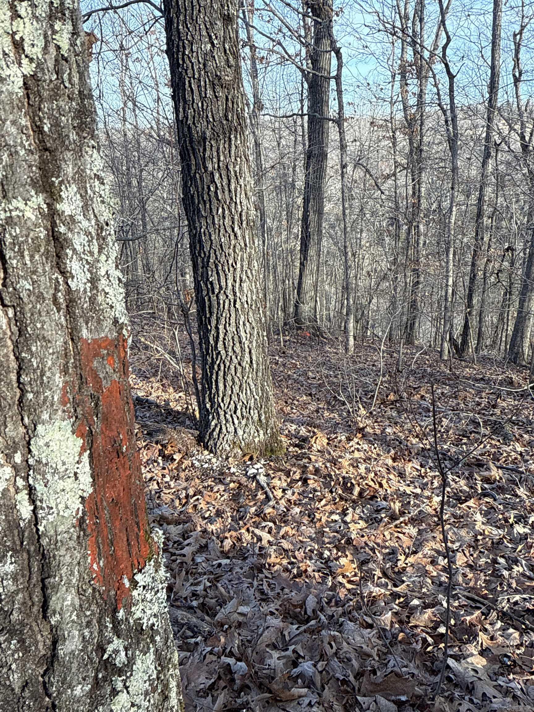 Metes & Bounds - Land