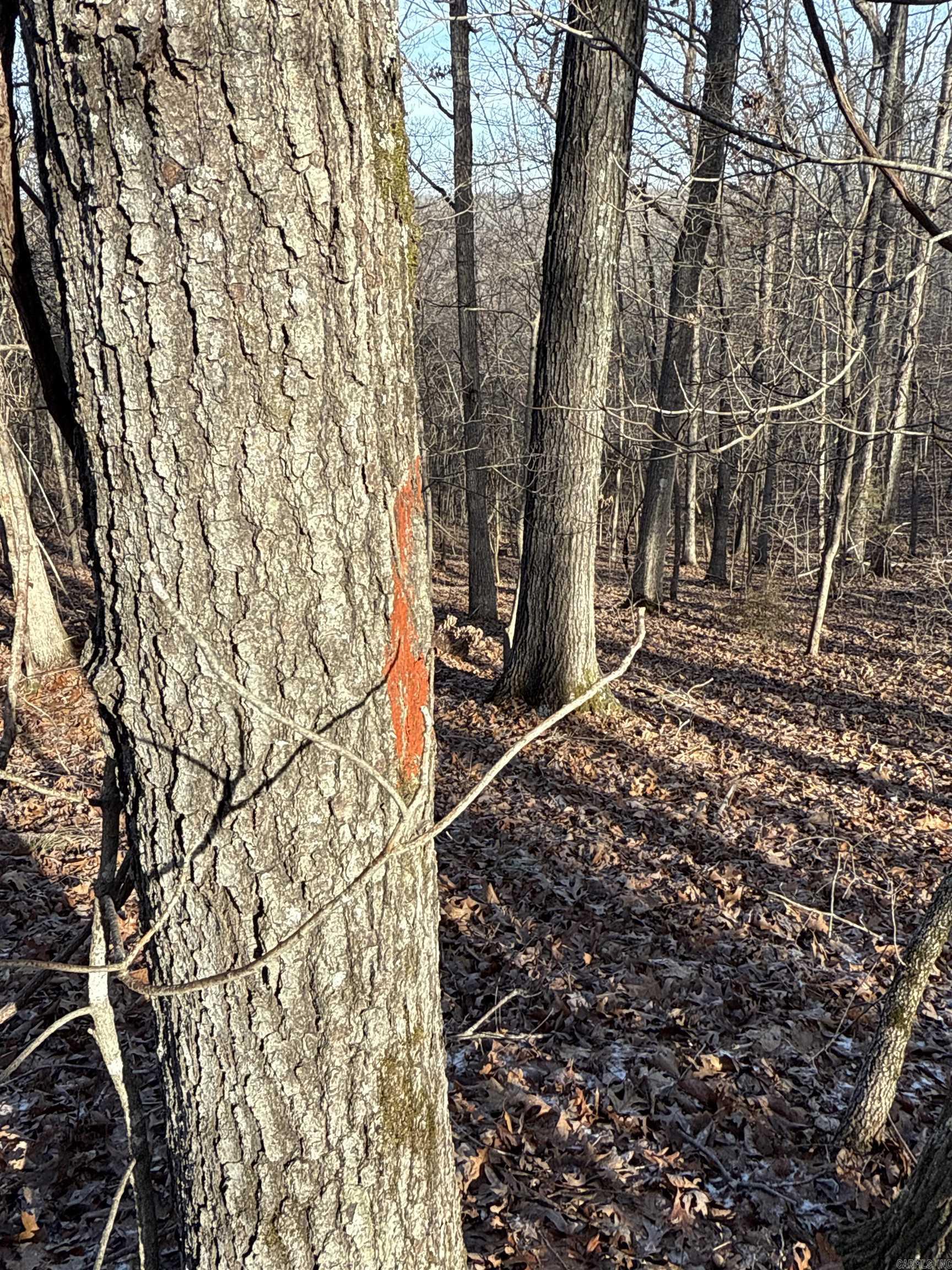 Metes & Bounds - Land