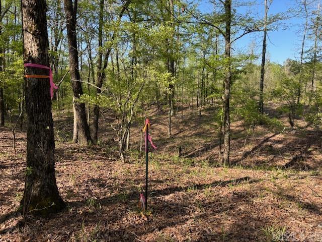 Discover the perfect blend of privacy and potential with this 4.98-acre wooded retreat. Tucked away from the hustle and bustle, this beautiful parcel features mature hardwoods, a meandering creek, and abundant wildlife-making it ideal for hunting, nature watching, or simply escaping into the peace and quiet of nature. Whether you're dreaming of building your private getaway, setting up a hunting cabin, or investing in land with natural beauty and potential, this property is ready for your vision. No restrictions. Come explore your future today! See agent remarks