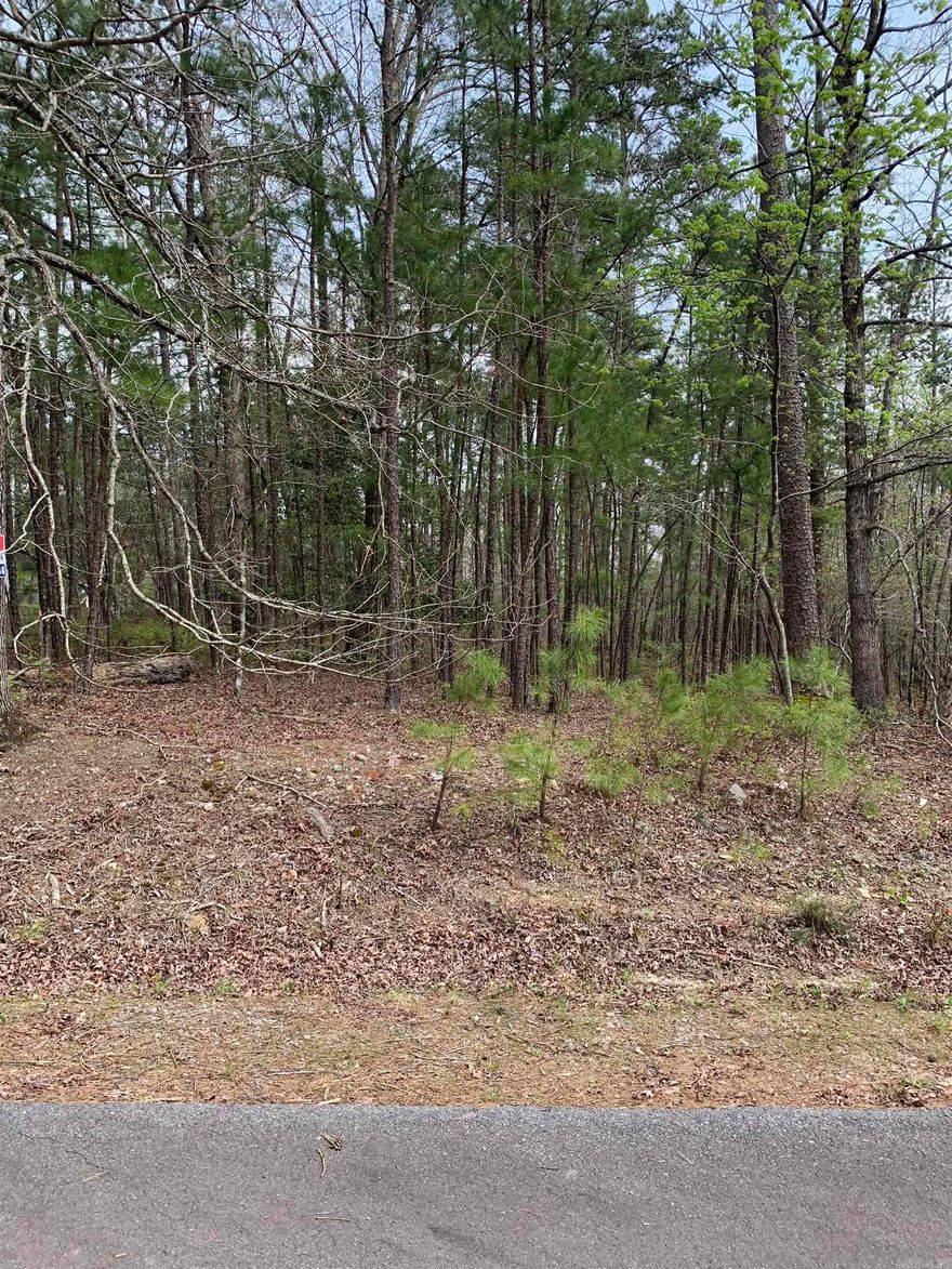 Beautiful East side lot to build your home on! Hot Springs Village the nation's largest gated community offers 9 beautiful golf courses, 11 recreational lakes with over 30 miles of trails for walking and hiking! New buyers to the Village have a $300.00 buy in fee payable to the POA at closing.