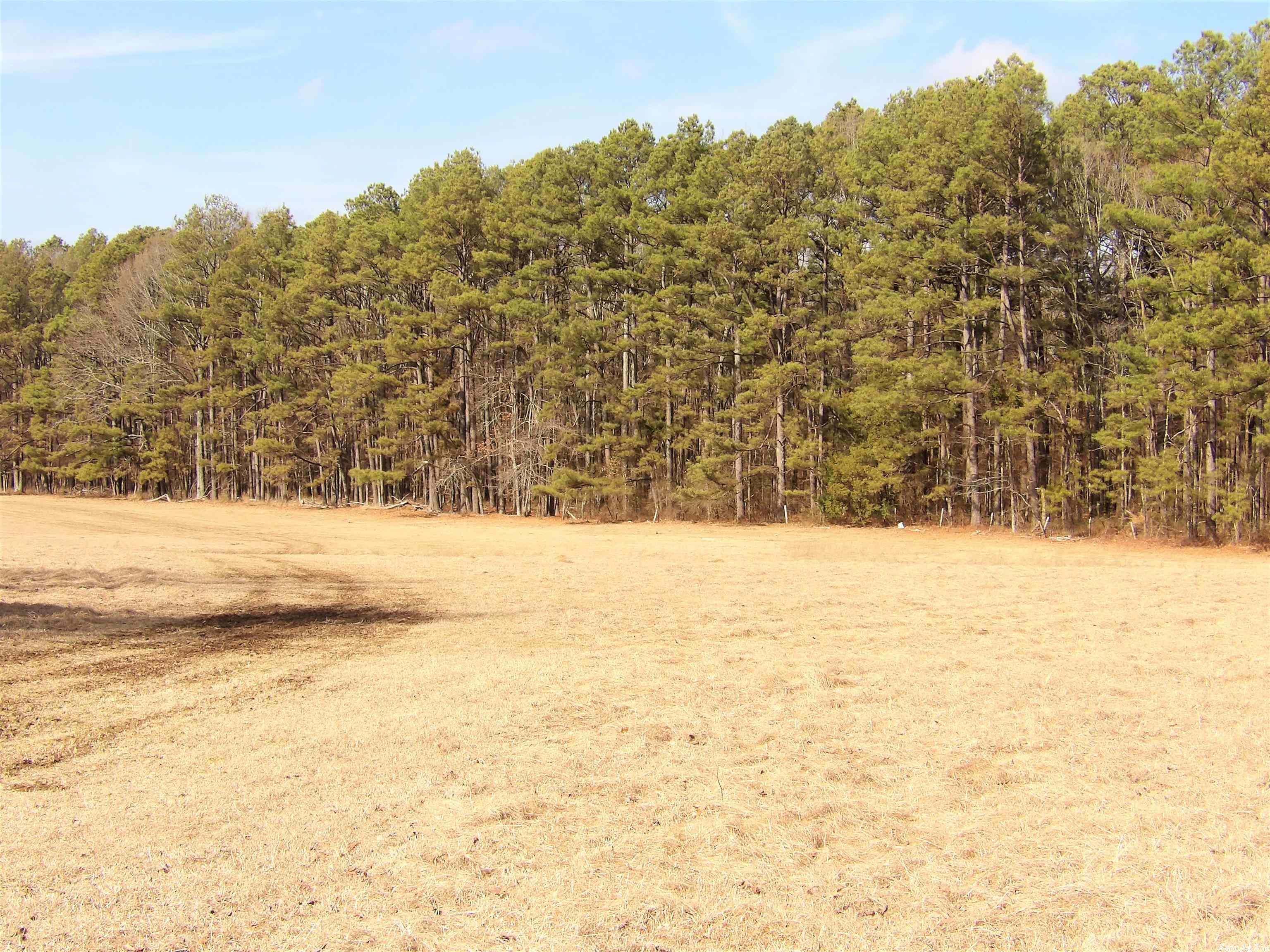 Metes & Bounds - Land