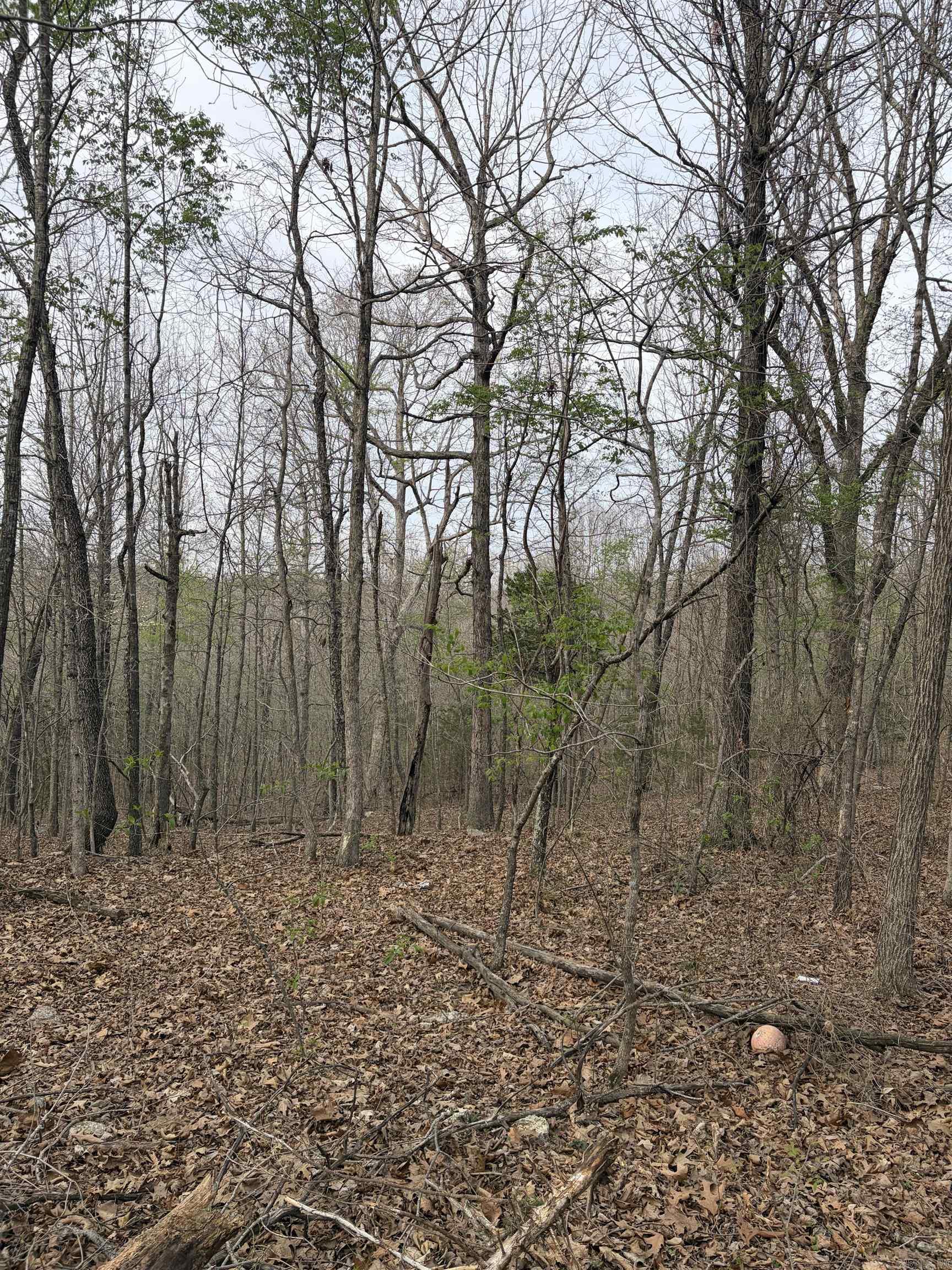 ACREAGE LOTS - Residential