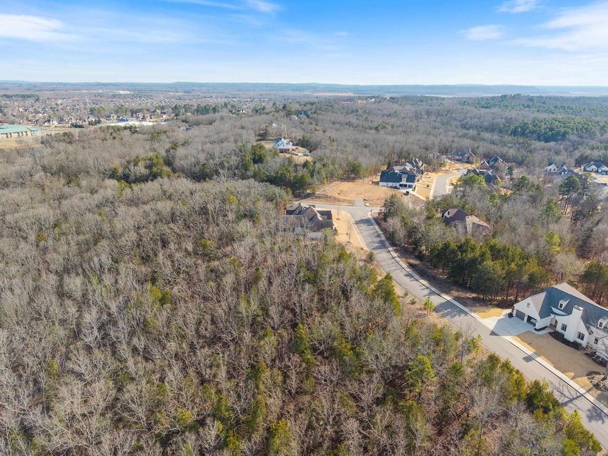 Live in the prestigious neighborhood Spencer Mountain at the Lake and build your dream home!! NW Conway, Lake access with woods and trees all around!