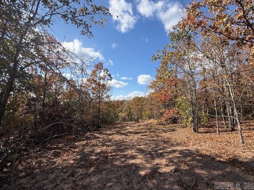 Wooded lot perfect for building your home or building a home to sale.  You could leave trees at the back of the lot for privacy.  All utilities are on the property. 1200 sq. ft. minimum