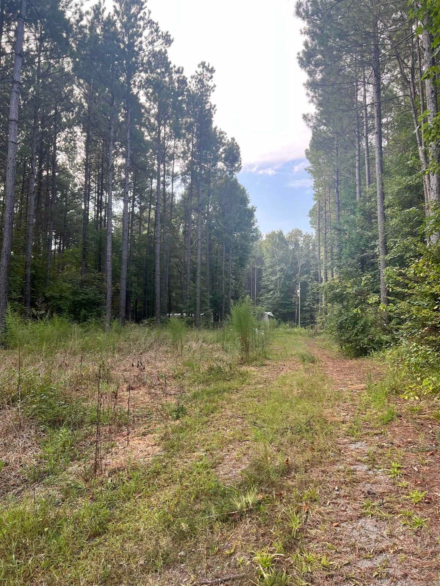 If you've been looking for a place to put your mobile home or camper, this is it! Existing water meter, electric, and septic already in place. Rural setting down a gravel road. There is an existing mobile home in rough shape that will convey at no value. Perfect for those looking to live the homestead lifestyle!