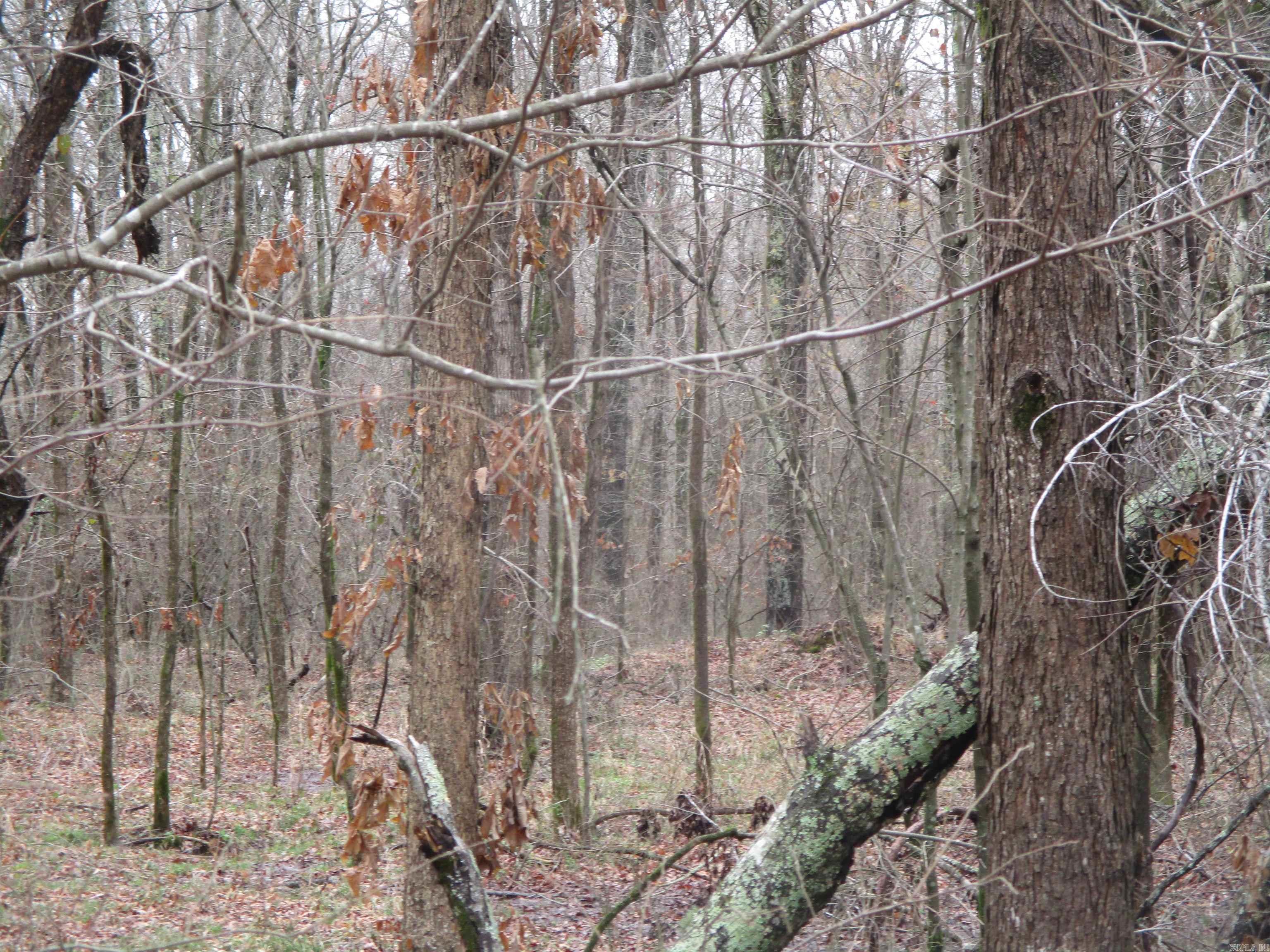 Carmalot Acres - Land