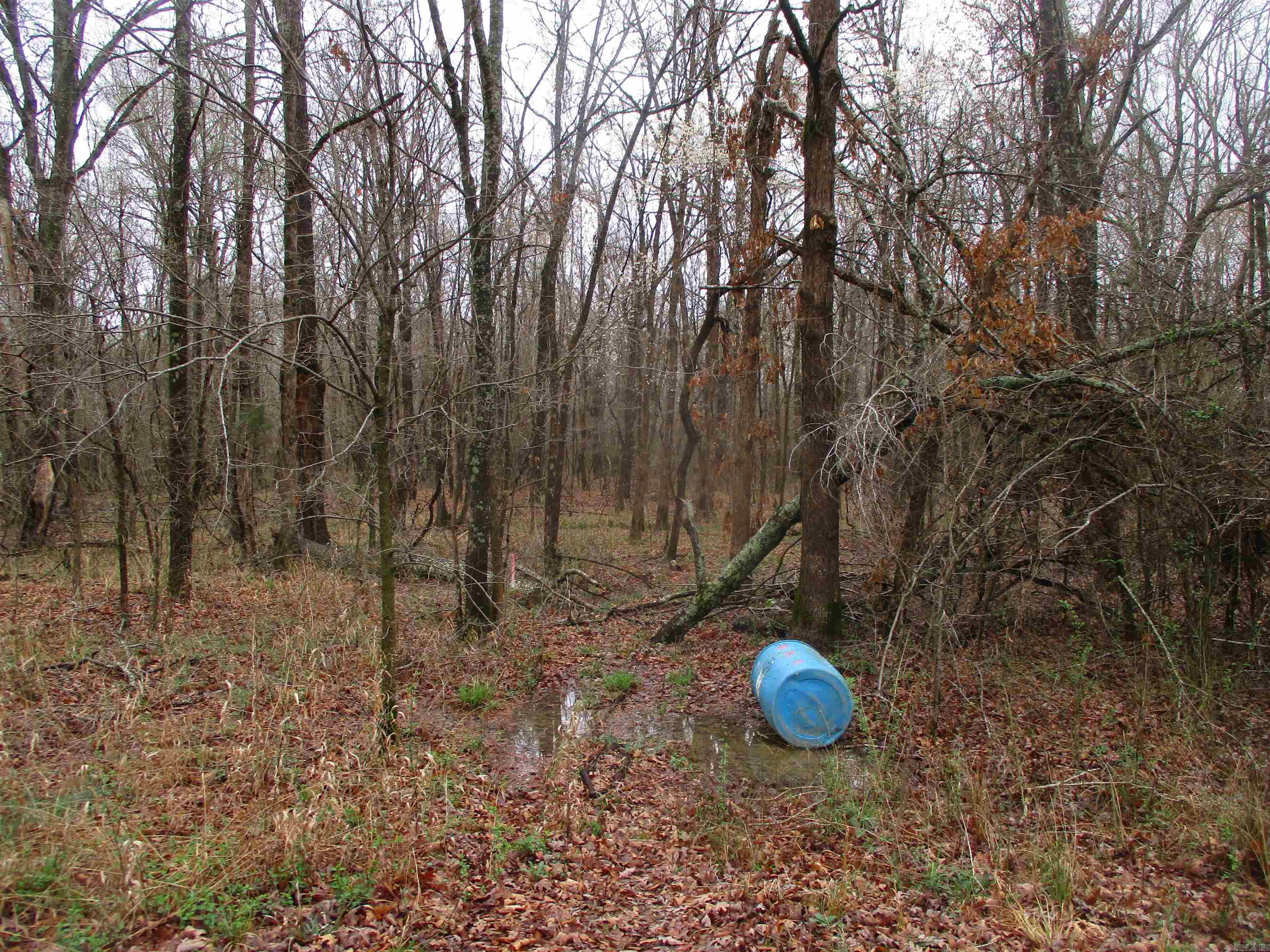 Carmalot Acres - Land