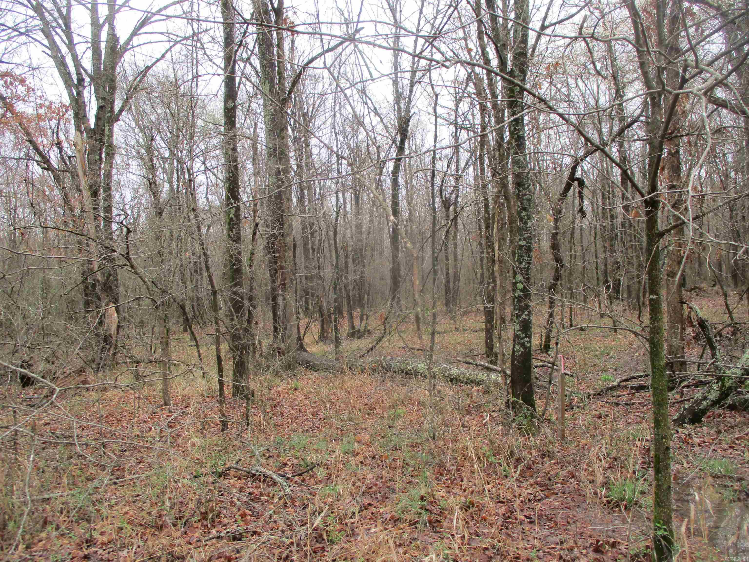 Carmalot Acres - Land