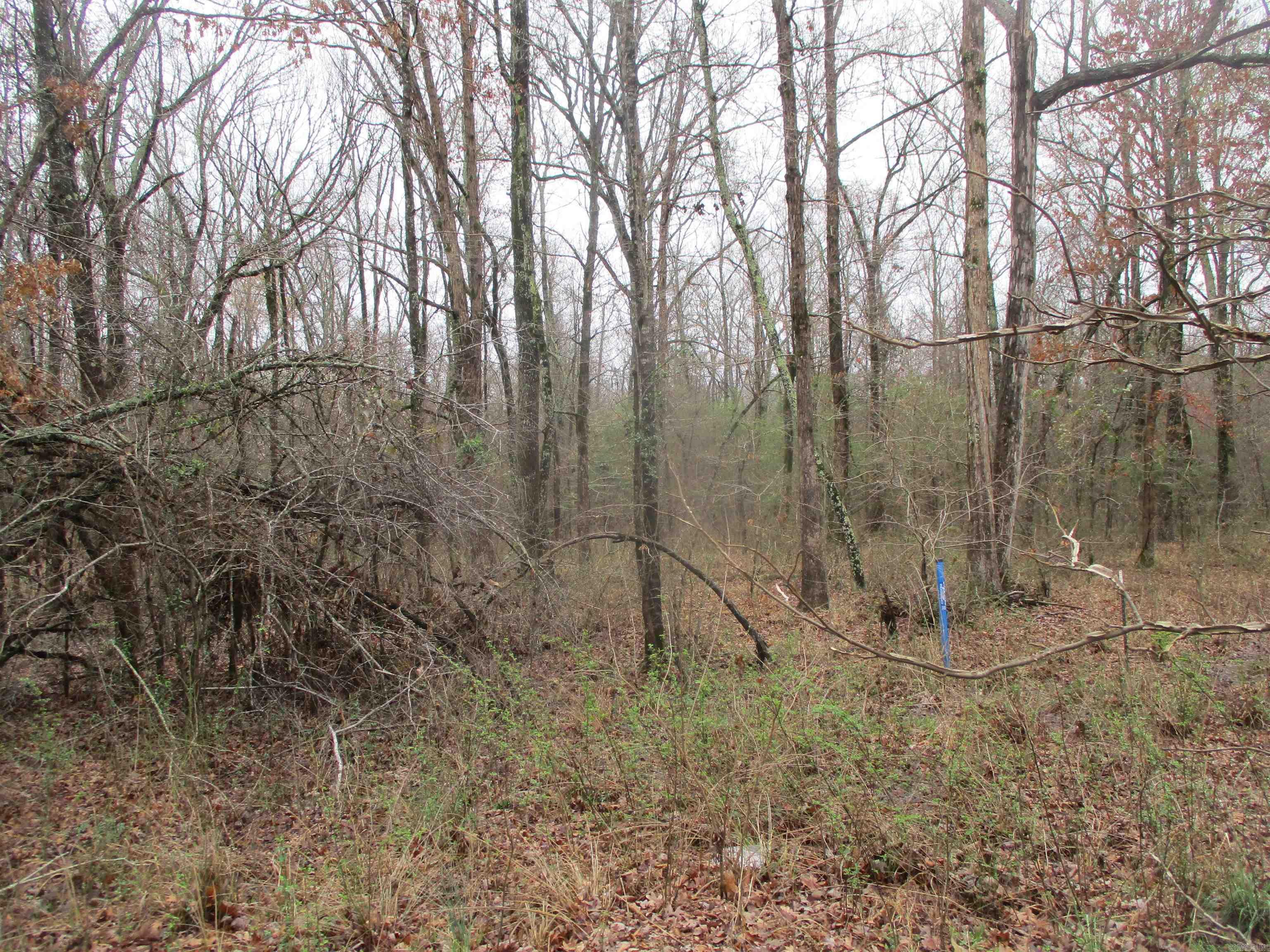 Carmalot Acres - Land