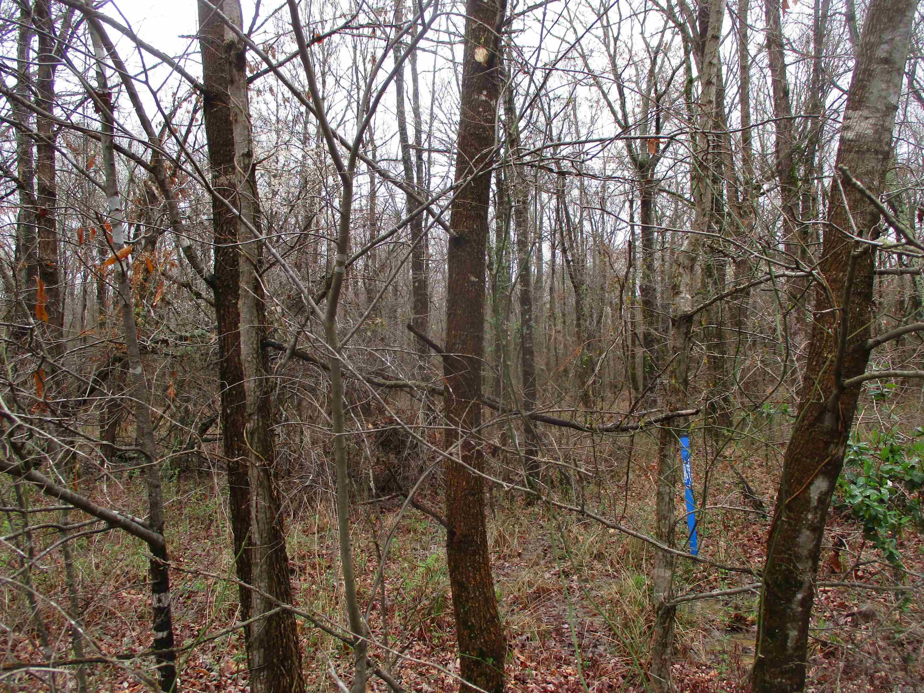 Carmalot Acres - Land