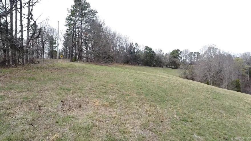 7 acres offering a beautiful mix of open ground and scattered trees, creating the perfect balance of privacy and usability. Enjoy distant scenic views and multiple potential building sites—ideal for your dream home, cabin, or recreational getaway. Rural water is available along Hwy 123, adding convenience for future development. Located just minutes from outdoor adventure, this property is approximately 25–30 minutes to the Buffalo National River for floating, hiking, and exploring. You’re also within about 45 minutes of Bull Shoals Lake and near Ozark National Forest offering thousands of acres of public land for hunting, hiking, and recreation. Whether you’re looking to build, invest, or simply enjoy the natural beauty of the Ozarks, this property offers a great opportunity in a scenic and convenient location. Additional 10 acres available see mls#1340537.