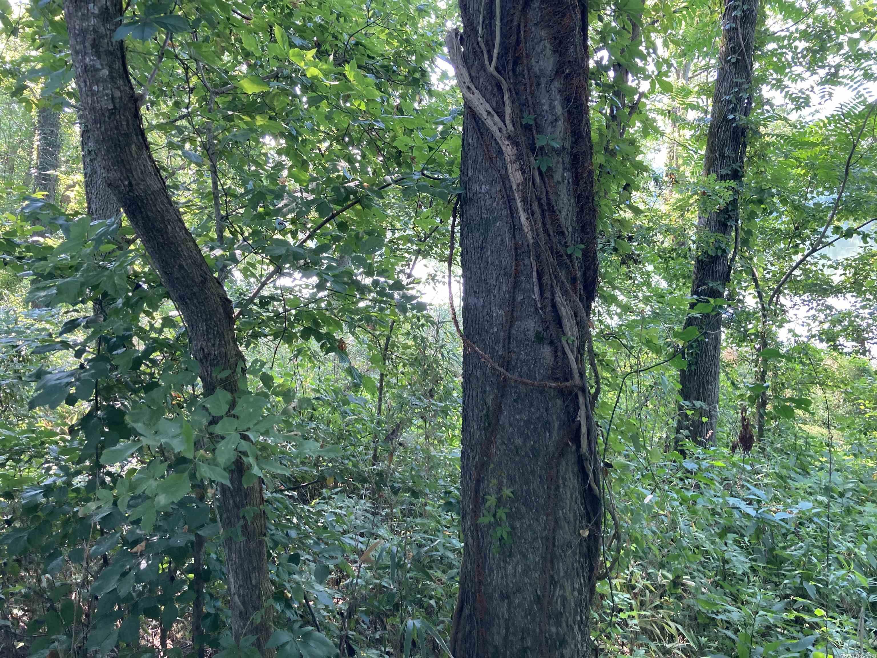 River Ridge Estates - Land