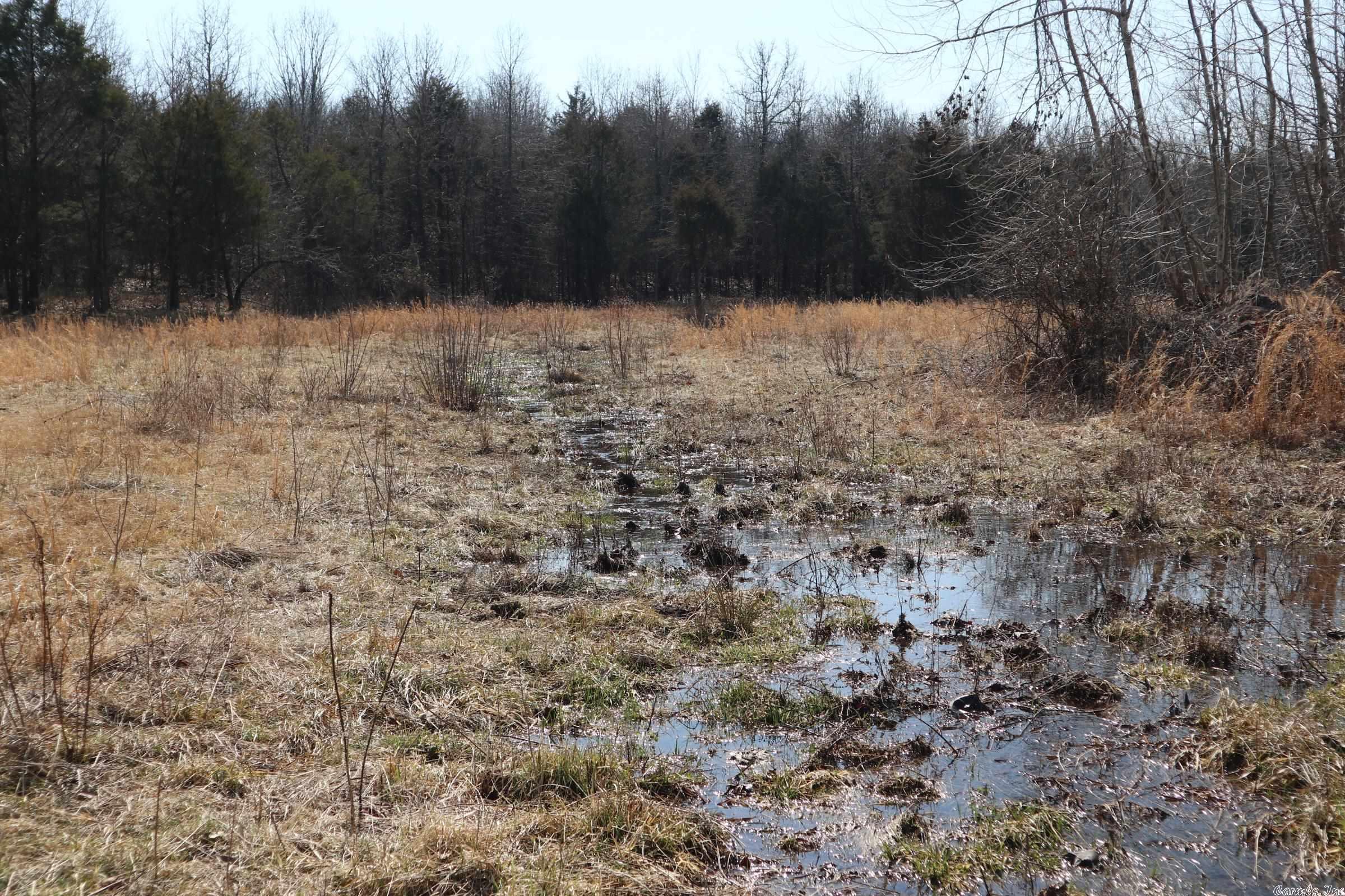 Metes & Bounds - Land