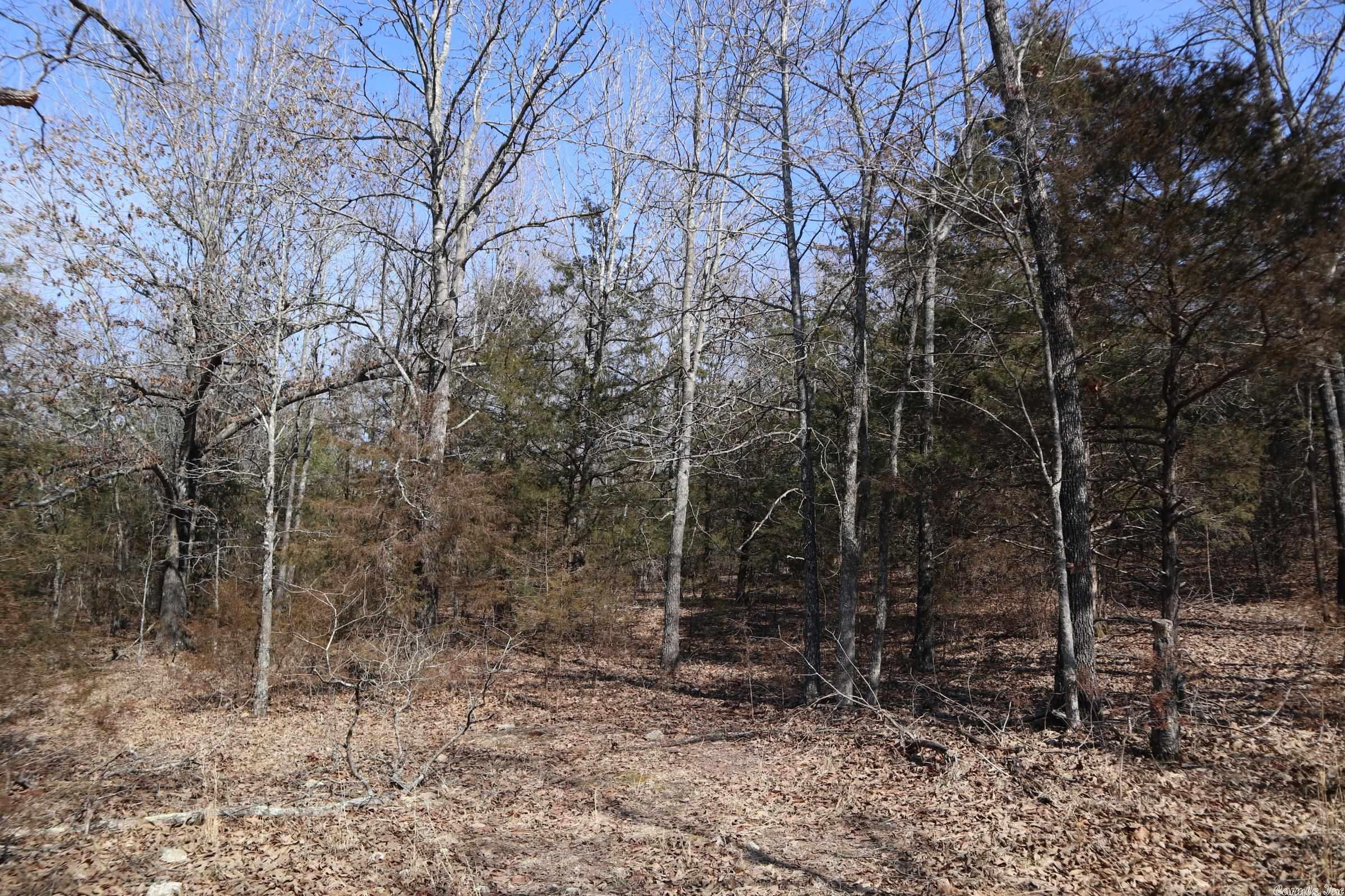 Metes & Bounds - Land