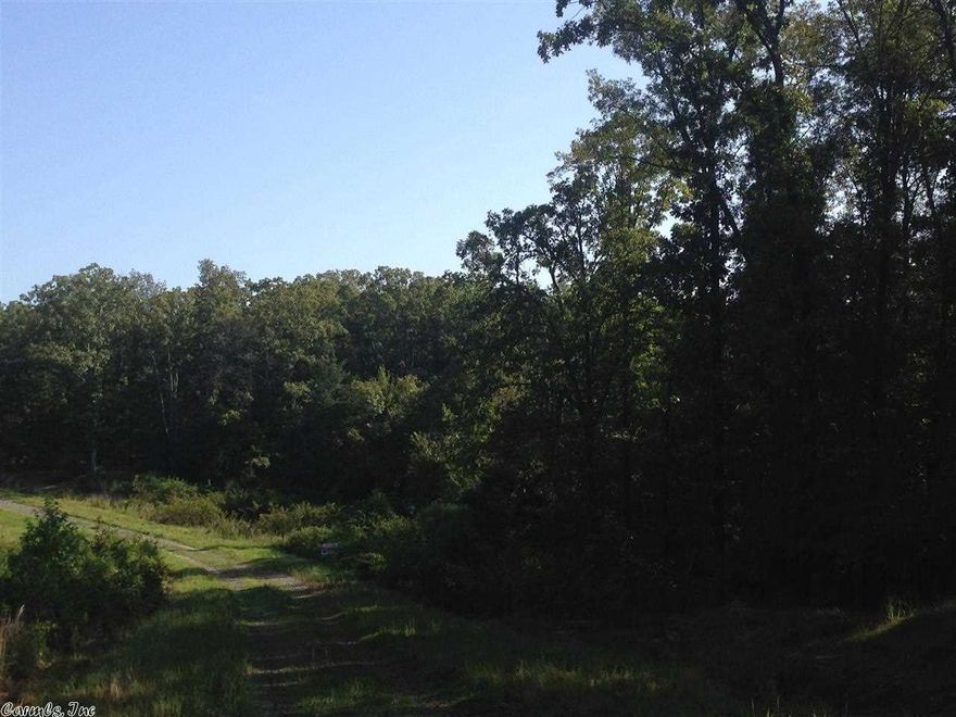 Piece of country living on culdesac--little bit of hills, little bit of level land and perfect spot for pond.  Horses permitted only. No mobiles permitted.  1400SF minimum homes. Vilonia schools. 9.12 acre contains Tracts 18, 19 & 20. Can be purchased in smaller tracts. $100 yearly POA for road maintenance. See other mls entries.