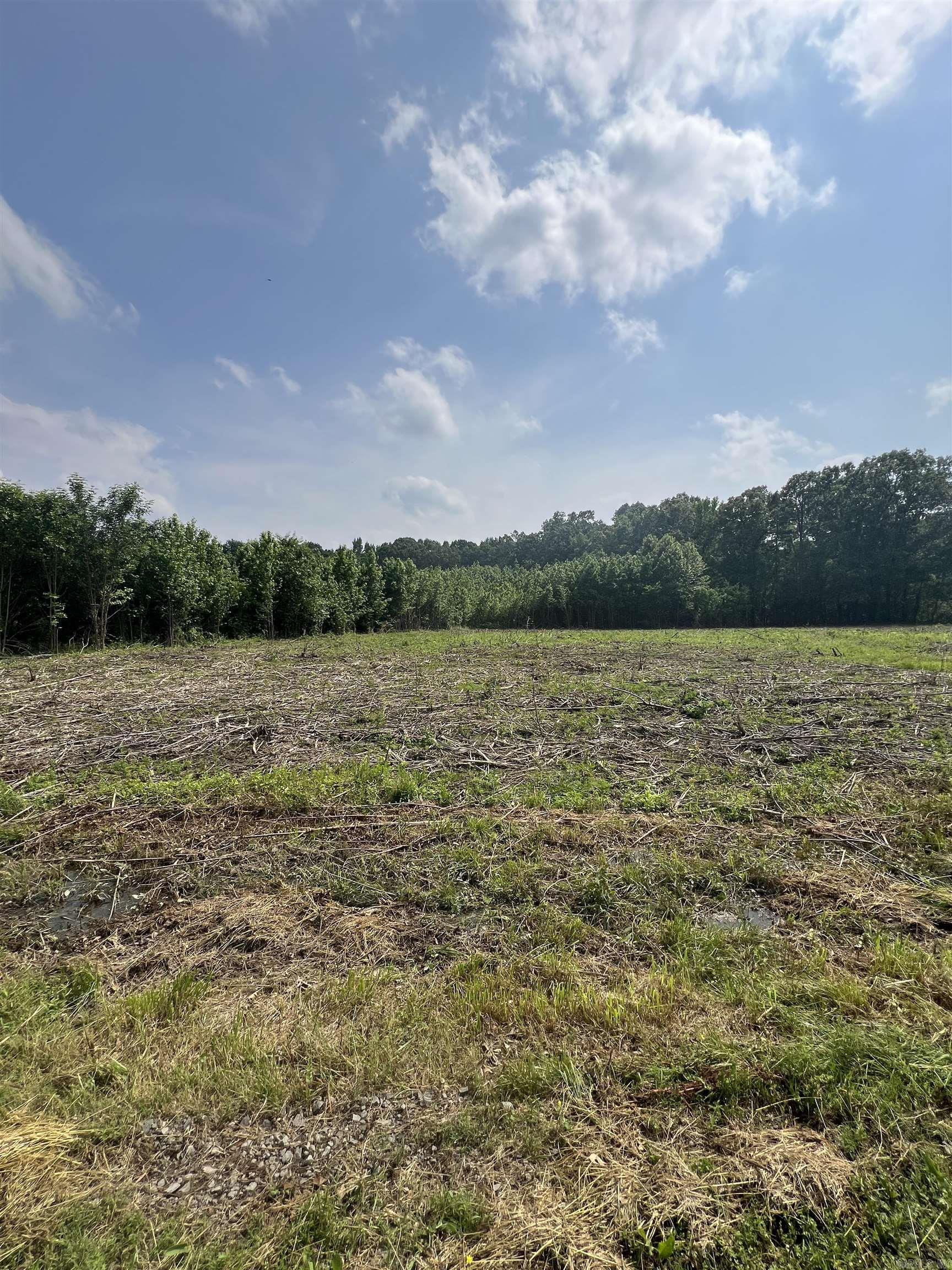 Dripping Springs Landing - Land