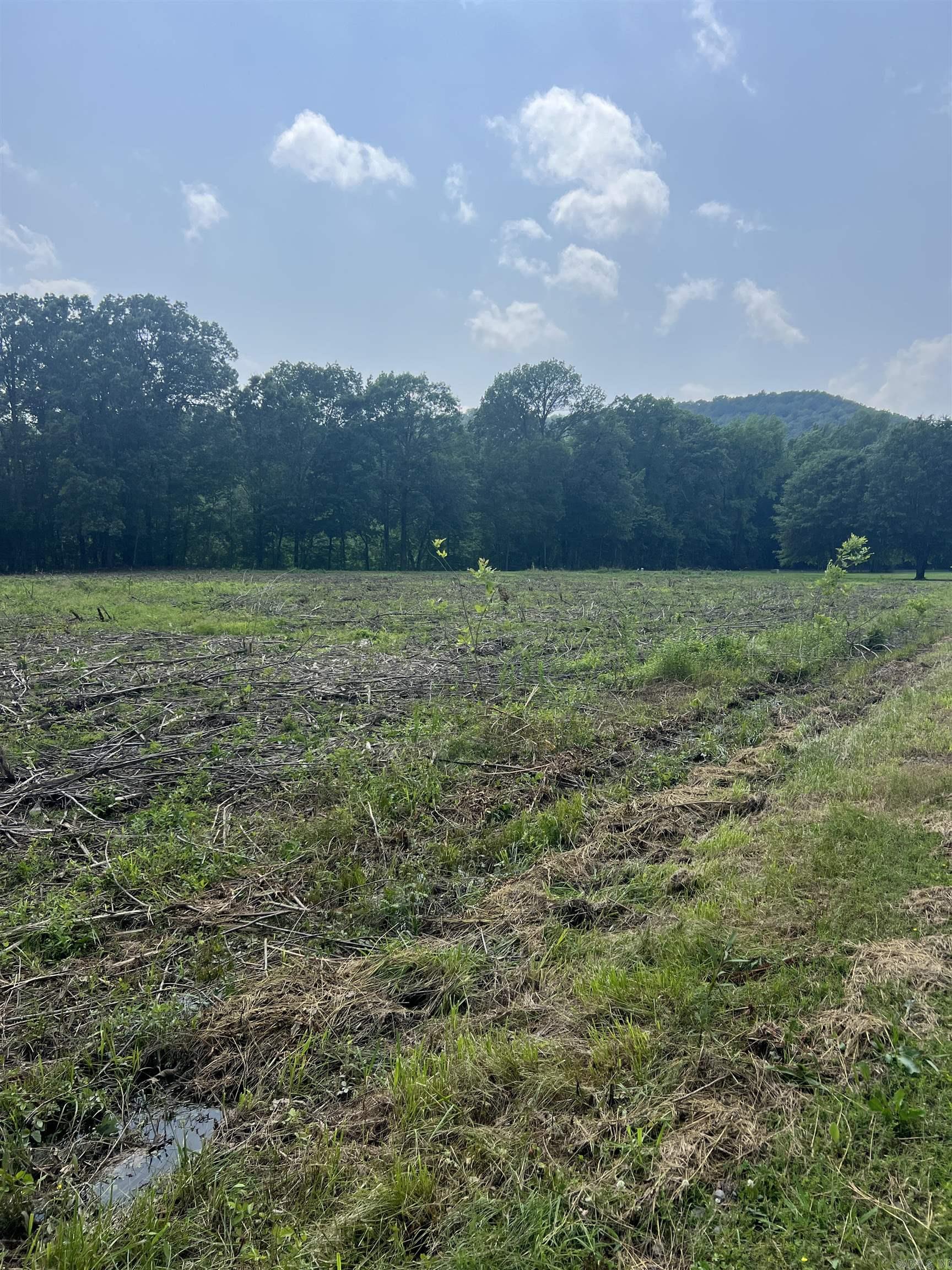 Dripping Springs Landing - Land