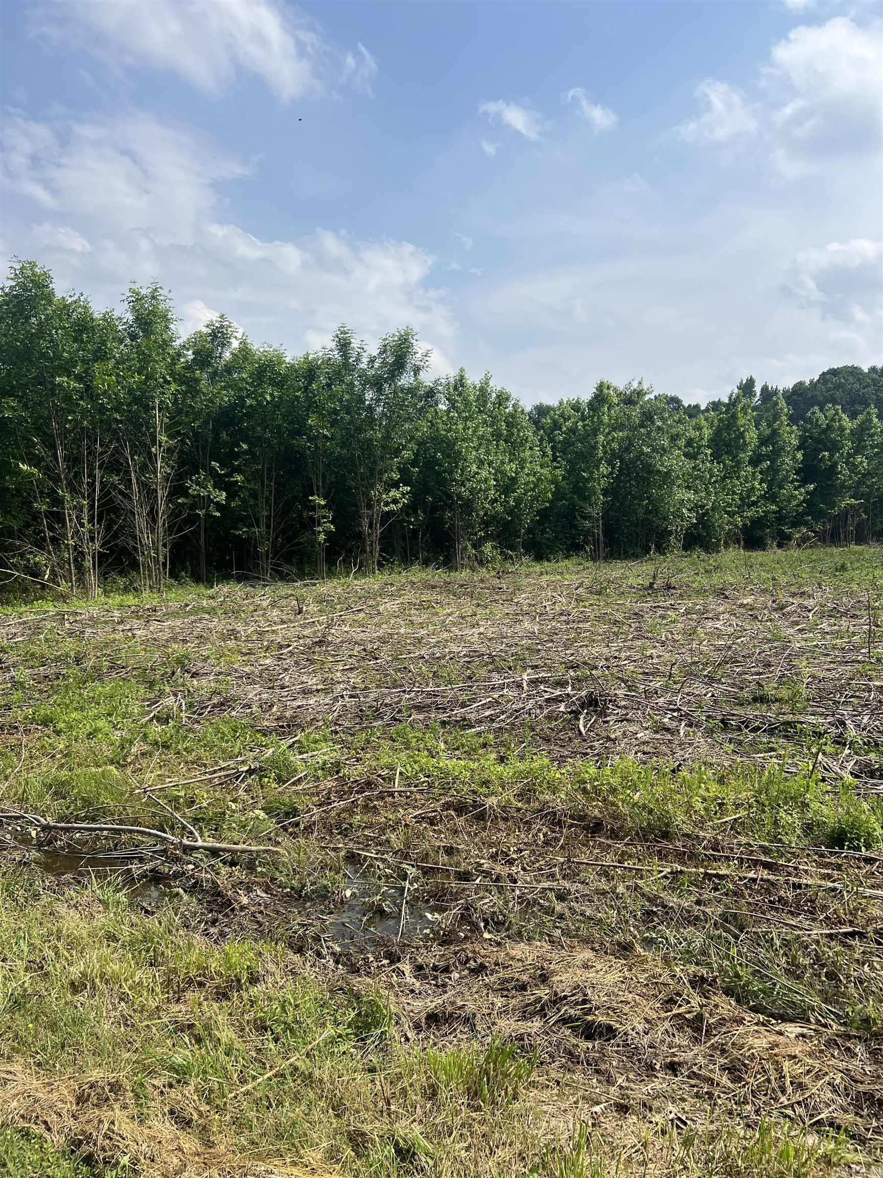 Dripping Springs Landing - Land