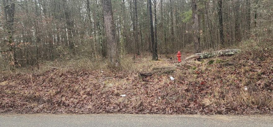 Looking for a beautiful Country Lot for your new home?  This is your chance.  Mature hardwoods and quiet living.  Some utilities available. No Restrictions!  Give me a call today!