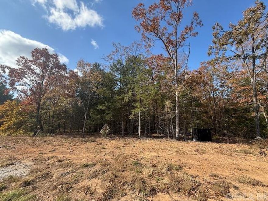 Wooded lot perfect for building your home or building a home to sale.  You could leave trees at the back of the lot for privacy.  All utilities are on the property. 1450 sq. ft. minimum