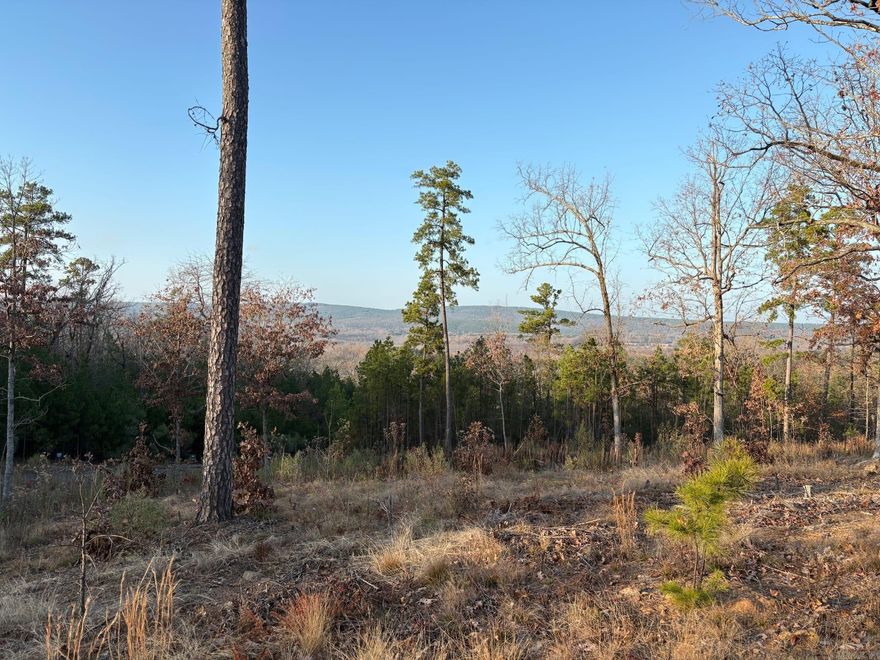 Offering breathtaking panoramic views of Lake Maumelle, Pinnacle Mountain, and the rolling landscapes of the Ouachita National Forest, this thoughtfully designed community features a variety of homesites and residences, complemented by abundant amenities and natural beauty, creating an exceptional setting for both everyday living and peaceful retreat.