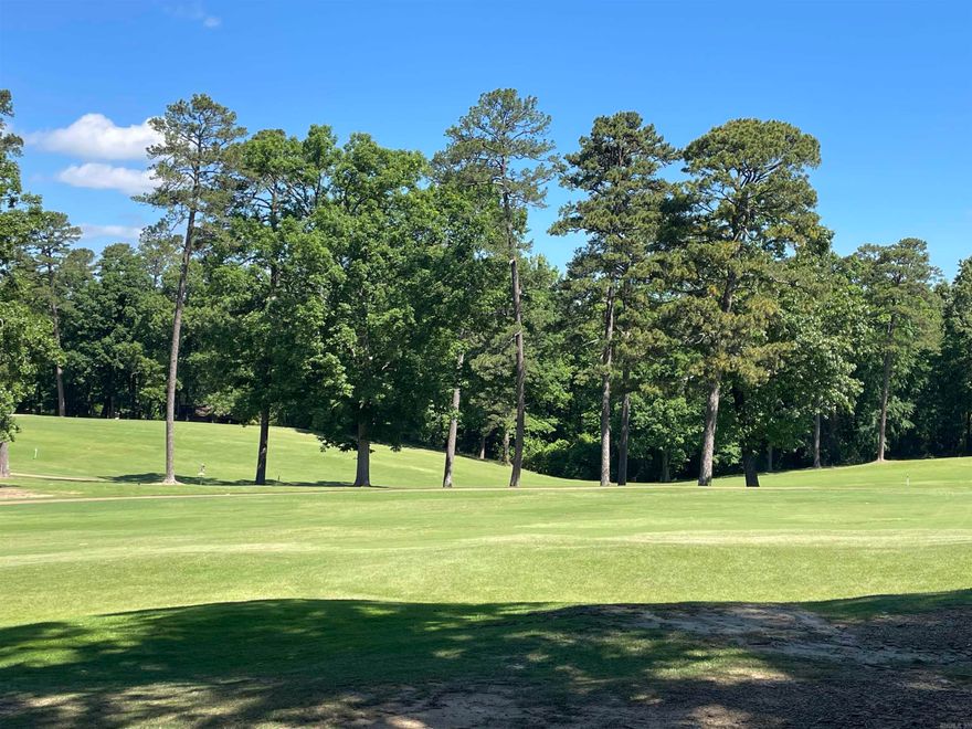 Experience the ultimate golf-course lifestyle in this stunning home overlooking the 18th fairway of DeSoto Golf Course. Perfectly situated less than a mile from the HSV West Gate, you are within walking distance to the DeSoto Club, pickleball courts, and the community pool.  The interior boasts a massive open-concept Great Room featuring vaulted ceilings with wooden beams, a floor-to-ceiling stone fireplace, and modern LVP flooring throughout. The kitchen is a chef’s dream with fully updated, soft close, custom cabinetry with elegant quartz countertops, stainless steel appliances including a 24 bottle wine fridge.  This functional split floor plan ensures privacy, featuring an oversized Primary Suite designed for relaxation with a walk-in shower and double vanity. Notably, every bedroom includes its own walk-in closet, providing exceptional storage. Outside, enjoy over 70 feet of expansive decking and a charming pergola overlooking the green.  Storage continues with an oversized two-car side-entry garage, perfect for a workshop or golf cart. Combining modern luxury with a prime location, this golf-front gem is move-in ready.