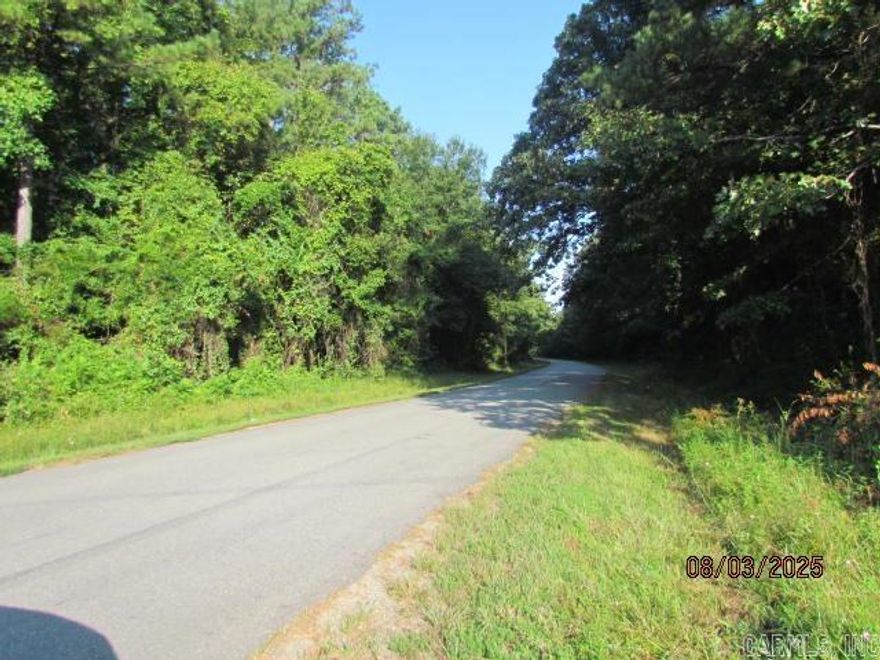 40 Acres consisting of Timber land, with 133 Hwy frontage and located on both sides of Paved  Ashley Road 461.  Utilities available to connect.  Call for more information.