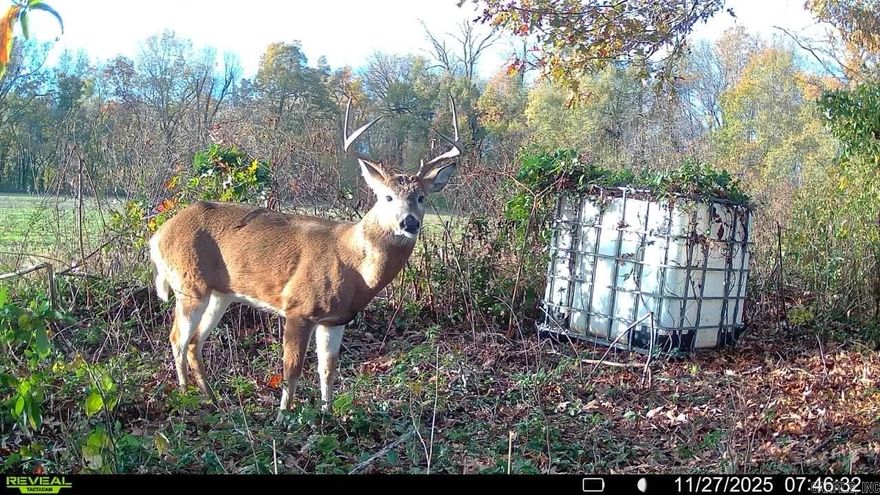 53.32 +/- Acres of beautiful farm ground Located in Crittenden County, Arkansas on Copleland Road. Only a short 24 minute drive from Memphis, TN this small farm is what you need and it's easy to get to! This a small non irrigated farm that still produces a great crop. This ground is comprised of Sharkey Silty Clay and on the west side is boundaried by a line of mature trees. This makes for excellent trophy deer hunting as it sits. If you put in a well, you could also set this tract up for duck hunting, as this area is well known for the ducks. FSA info to come.
