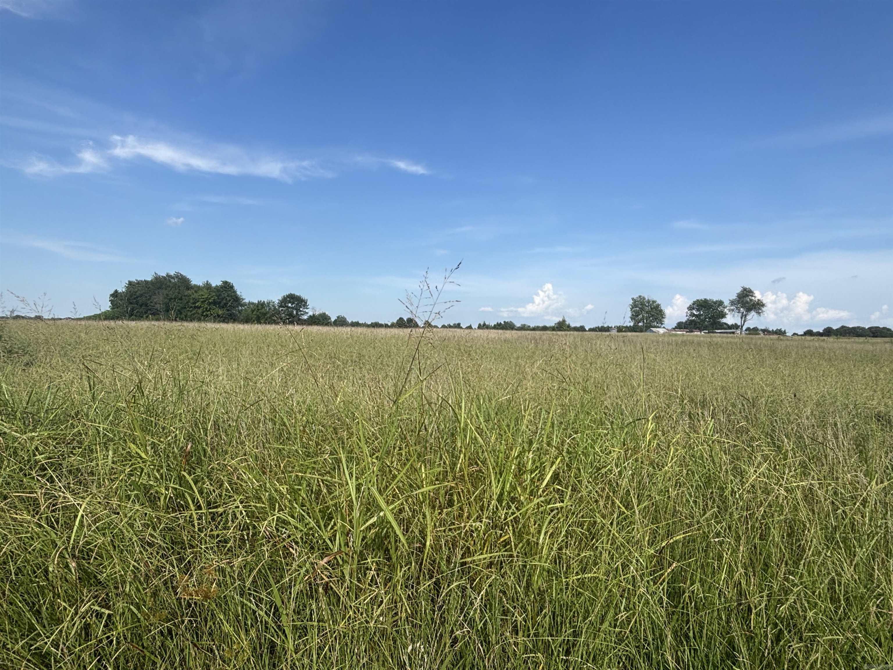 Beautiful property to build your dream home. Nice and level ground. It is just off of the paved road onto the county gravel road. There is a small pond on the property that needs some clearing. The back of the property is already fenced off. There is plenty of room for multi generations to build on the same property.