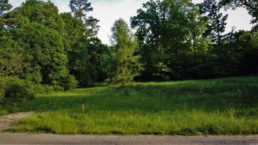 This area is very conducive for wildlife habitat offering good hunting opportunities. Just off the gravel right outside of town lies a golden opportunity for outdoor enthusiasts. It boasts 800+/- Ft of tar camp creek frontage and as much of a smaller creek as well. Between these two creeks is full of wooded habitat with wildlife openings ready for your fall food plots. There is no sign of hunting on this place to be found in the recent years. Diversity is key for wildlife, and this one has plenty of it, winding creeks, hardwood bottoms, thickets, openings, lots of edge for the wildlife to enjoy. Contact the land specialist for your private viewing.  If owning land for hunting is a goal of yours, this one is for you. It is a smaller but secluded property thanks to the creeks and it lays really nicely. You can tell from aerial photos and maps that many species of wildlife likely call this property home. At a price point that is affordable to most, this is your opportunity to own your own slice of Arkansas Paradise.