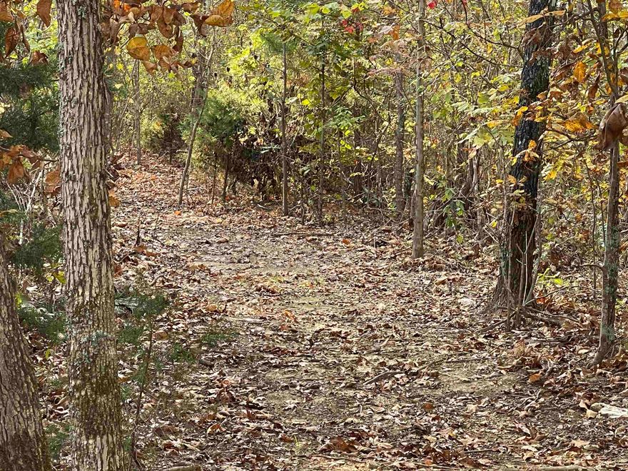 30 Acres +/-....County Road Frontage, just a few hundred feet off pavement.  Rural setting with few surrounding homes.  Nice, wooded building sites, great hunting area, and electricity available.  Seller says deed will restrict from commercial hog or poultry operations.