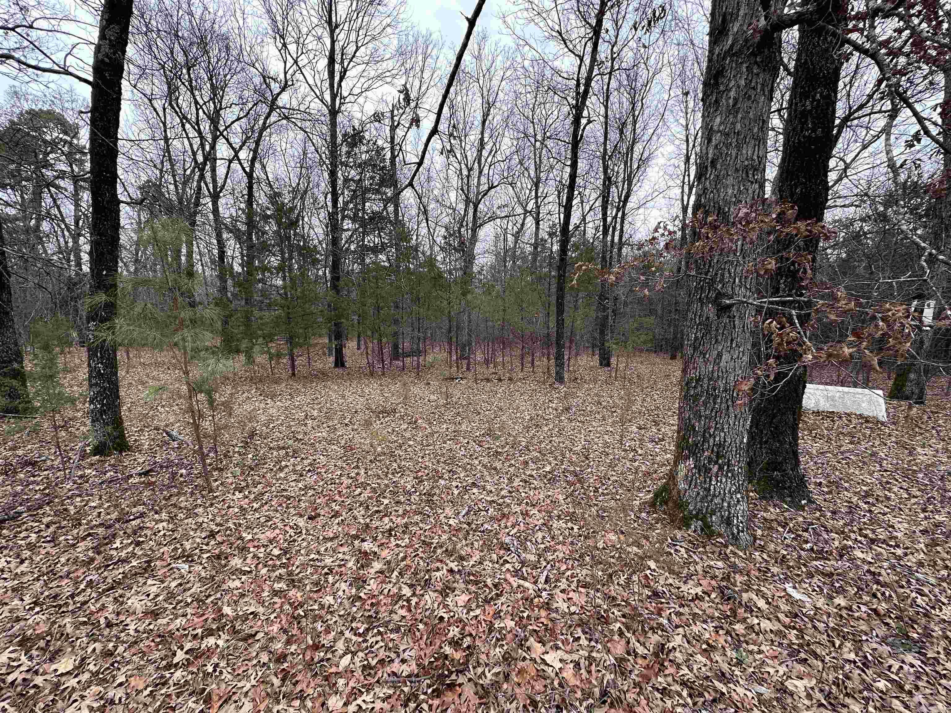 1 +/- Acre Wooded Property – Perfect for Your Home or Camper with NO RESTRICTIONS!!  Discover this beautiful 1 +/- acre wooded property, ideal for building your dream home or setting up a camper. Nestled in a tranquil setting, it’s the perfect spot for nature lovers and outdoor enthusiasts.  Prime Location:  Just minutes from Foushee WMA, perfect for camping and hunting adventures. Close to Heber Springs and Greers Ferry Lake, offering fishing, boating, and recreation opportunities. No utilities on property. Whether you’re looking for a peaceful retreat or a base camp for outdoor activities, this property is ready for you!