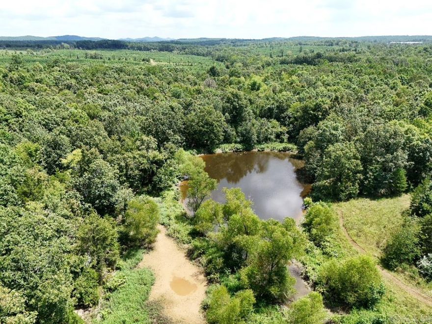 No zoning, HOA, or deed restrictions on this unrestricted gem with access from Polk Rd 407! Build your dream home or subdivide—no lot minimum. A serene pond and small creek enhance the natural charm. Electricity is nearby; well and septic needed.  Just 26 minutes to Mena for parks, golf, the Polk County Fairgrounds, and the AR Native Plant & Wildlife Center. Only an hour to Broken Bow Lake, ziplining, and Cedar Creek Golf Course.