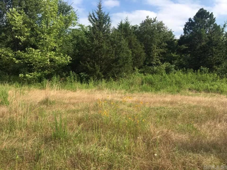 25 ac m/l, just 8.5 miles from Greenwood! 20 minutes to Fort Smith and 22 minutes to Booneville! Property has an old mobile home on it that is not livable and has no value. Water and electric, no septic. *See agent remarks.*