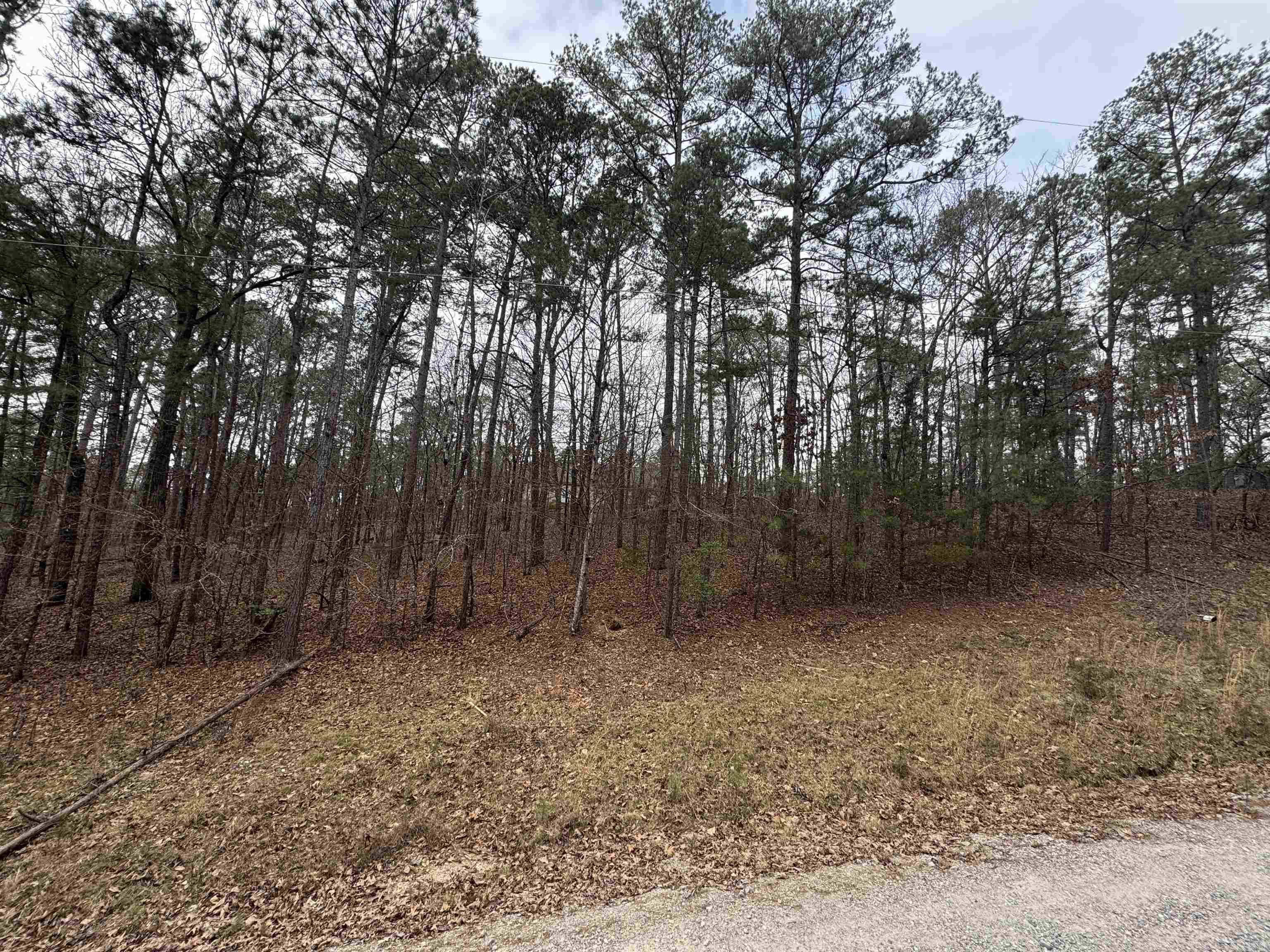 Treasure Isle #9 - Land