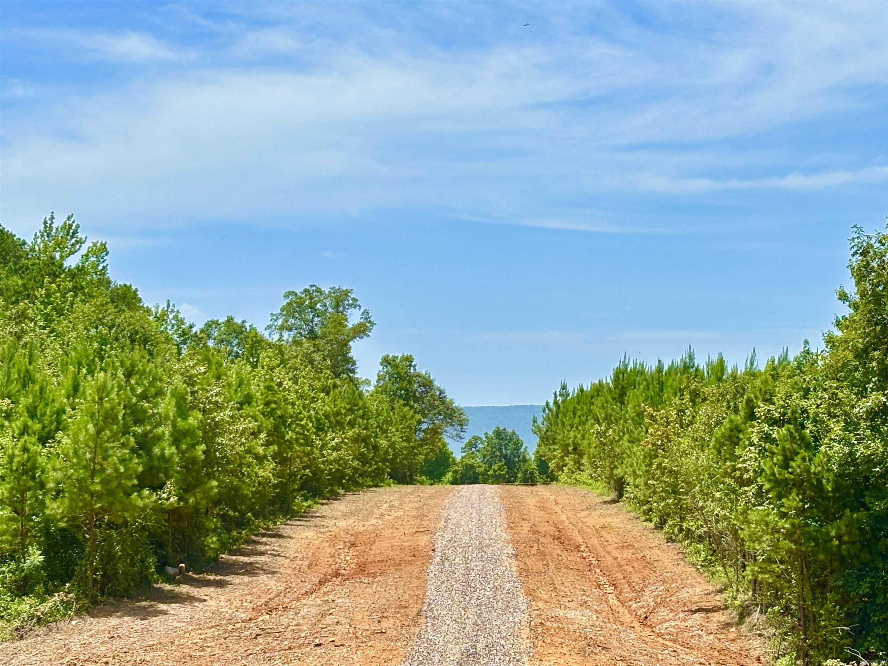 Lake Avalon Estates - Land