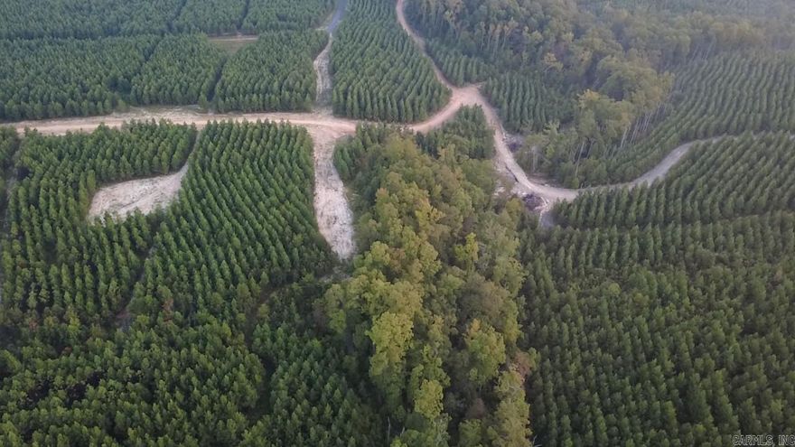 Now selling in Avalon Lake Estates – a brand-new 55+ gated community designed for peaceful, rural living! These scenic vacant lots offer stunning mountain views just minutes from town. Perfect for those looking to build a quiet getaway or retirement home surrounded by nature. A private lake is planned for future enjoyment, and the gated entry will offer privacy and security. Affordable opportunity to invest early in a growing development with long-term vision. Come be part of something special at Avalon Lake Estates! Planned HOA, not yet estabished.  Lot 2C offers stunning elevated views of the lake and mountain views beyond! Set more than 30 feet above the valley floor, the home site and new driveway is lined with evergreens and overlooks a lush, spring-fed creek that borders the lot. Mature oak and hardwood trees provide food and shelter for abundant wildlife, making this the perfect spot for those who enjoy nature and privacy. With future views of Avalon Lake and quiet surroundings, this lot is ideal for your new home.