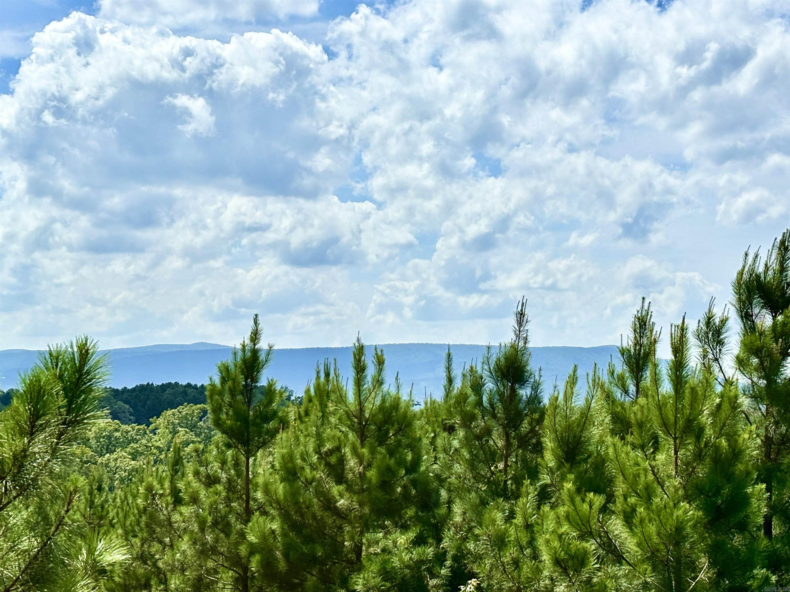 Lake Avalon Estates - Land